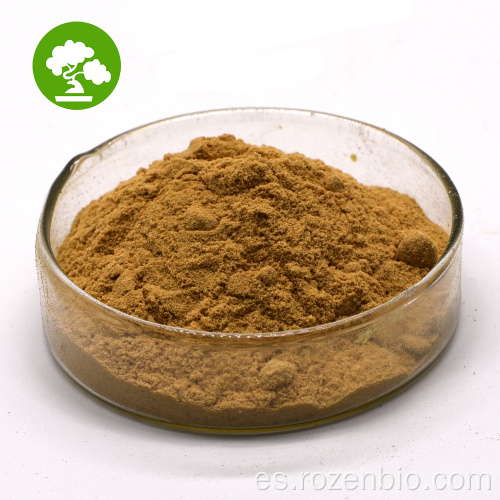 Extracto de raíz de Sarsaparilla/extracto de Sarsaparilla Smilax